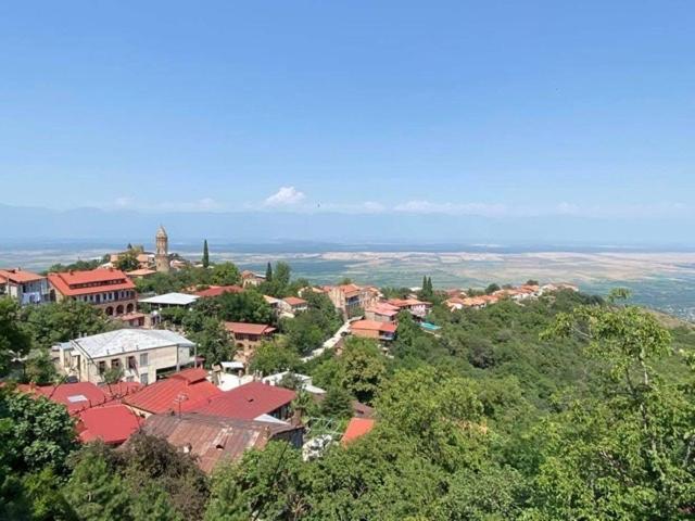 Hotel Dzveli Ubani à Sighnaghi Extérieur photo